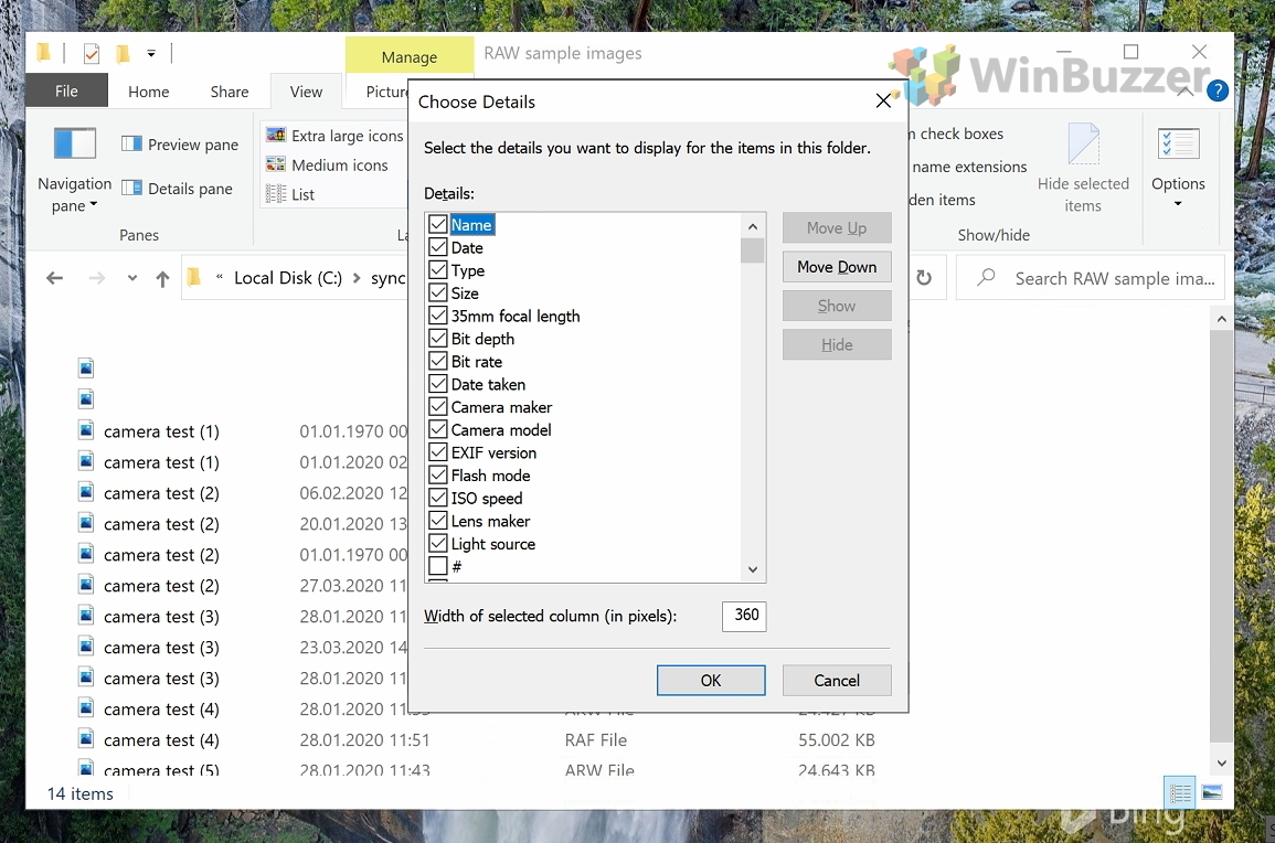 Windows 10 - RAW Images - Add Columns