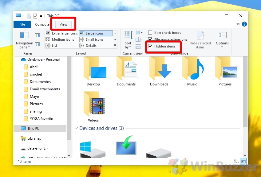 Windows 10 - File Explorer - View - Hidden Files