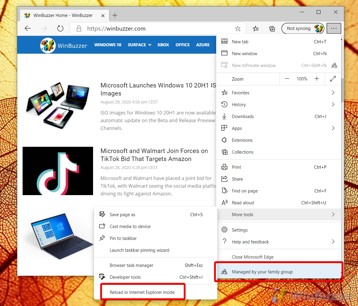 microsoft internet explorer update for windows 10