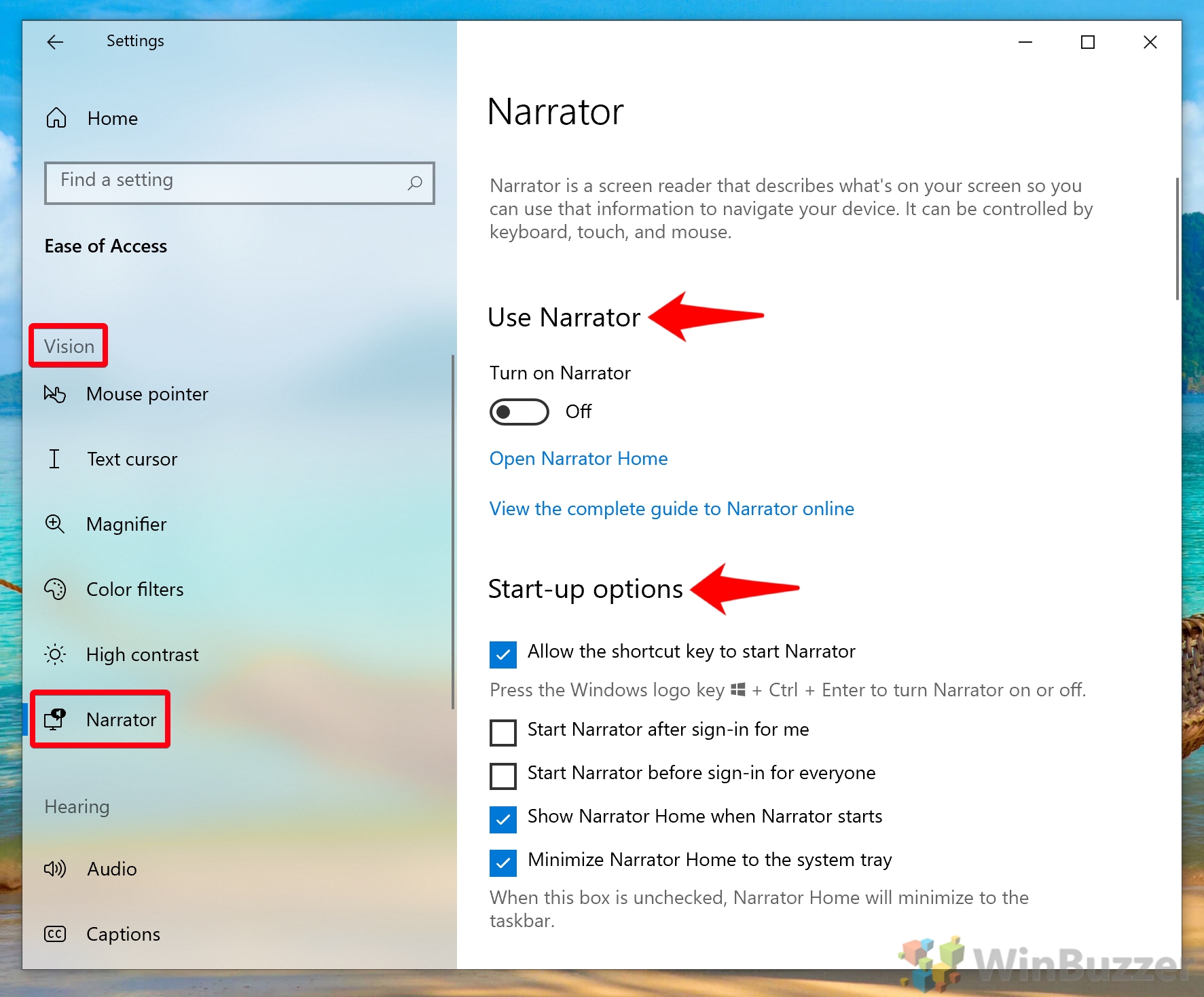 Every Windows 10 Ease of Access  Accessibility  Setting Explained - 3