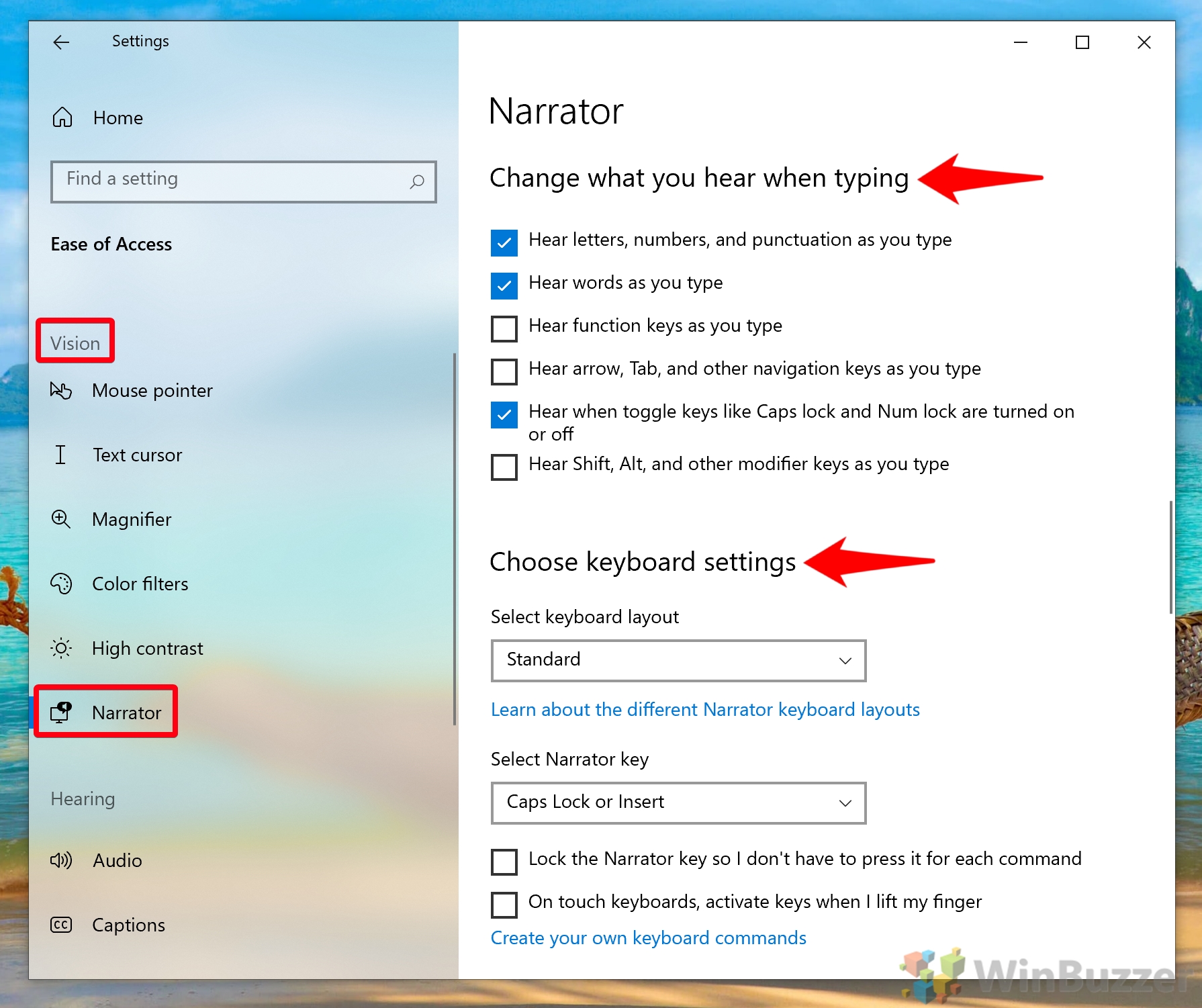 Every Windows 10 Ease Of Access Accessibility Setting Explained | winbuzzer