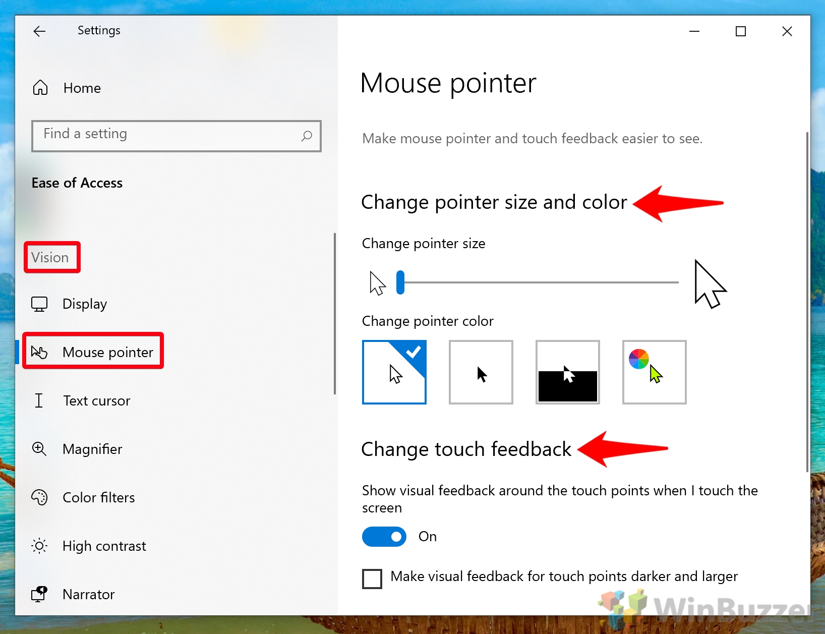 every-windows-10-ease-of-access-accessibility-setting-explained-winbuzzer