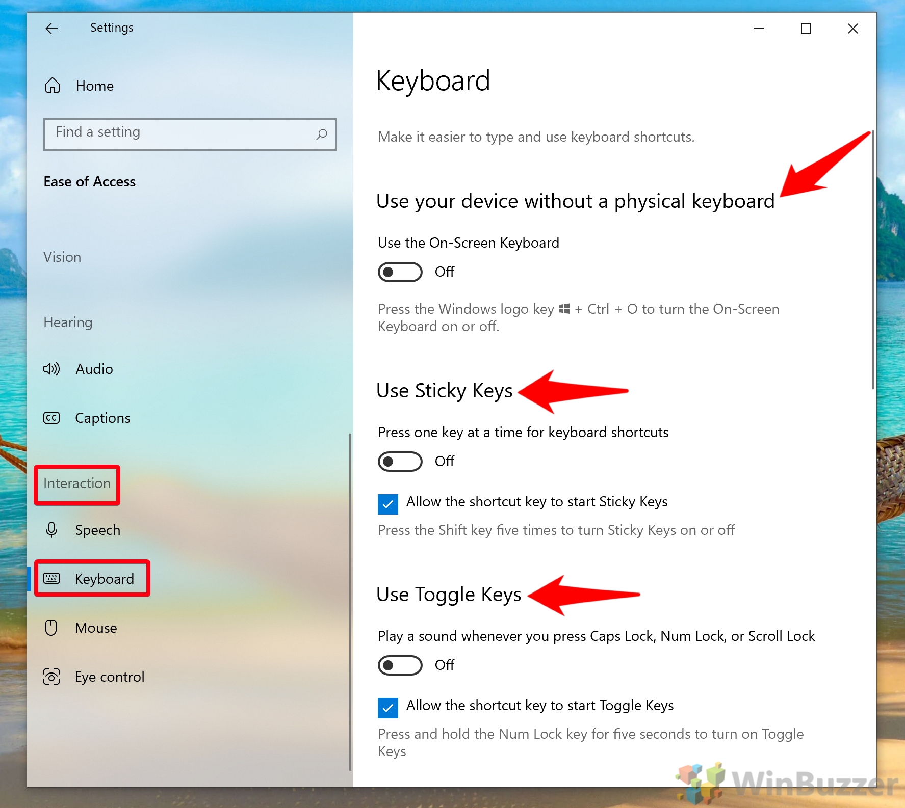 Every Windows 10 Ease of Access  Accessibility  Setting Explained - 48
