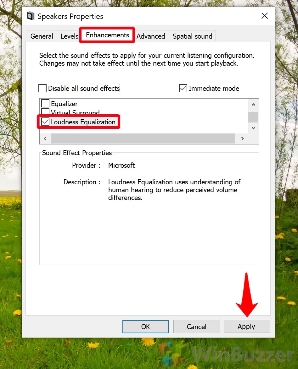 Betydning Teenager Tæller insekter Windows 10: How to Use the Audio Normalizer or Adjust App Audio Individually