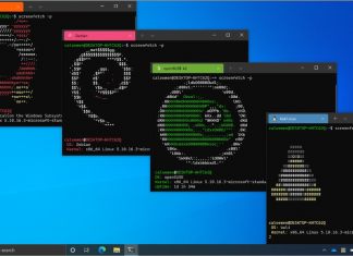 WSL-2-Microsoft-Build-Linux-Subsystem