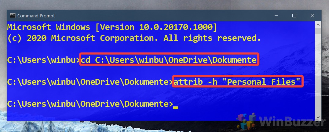 Windows 10 - Command Prompt - Type the Commands to Navigate to the Folder and to Make it Visible