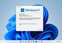 Windows-11-Desktop-WinBuzzer