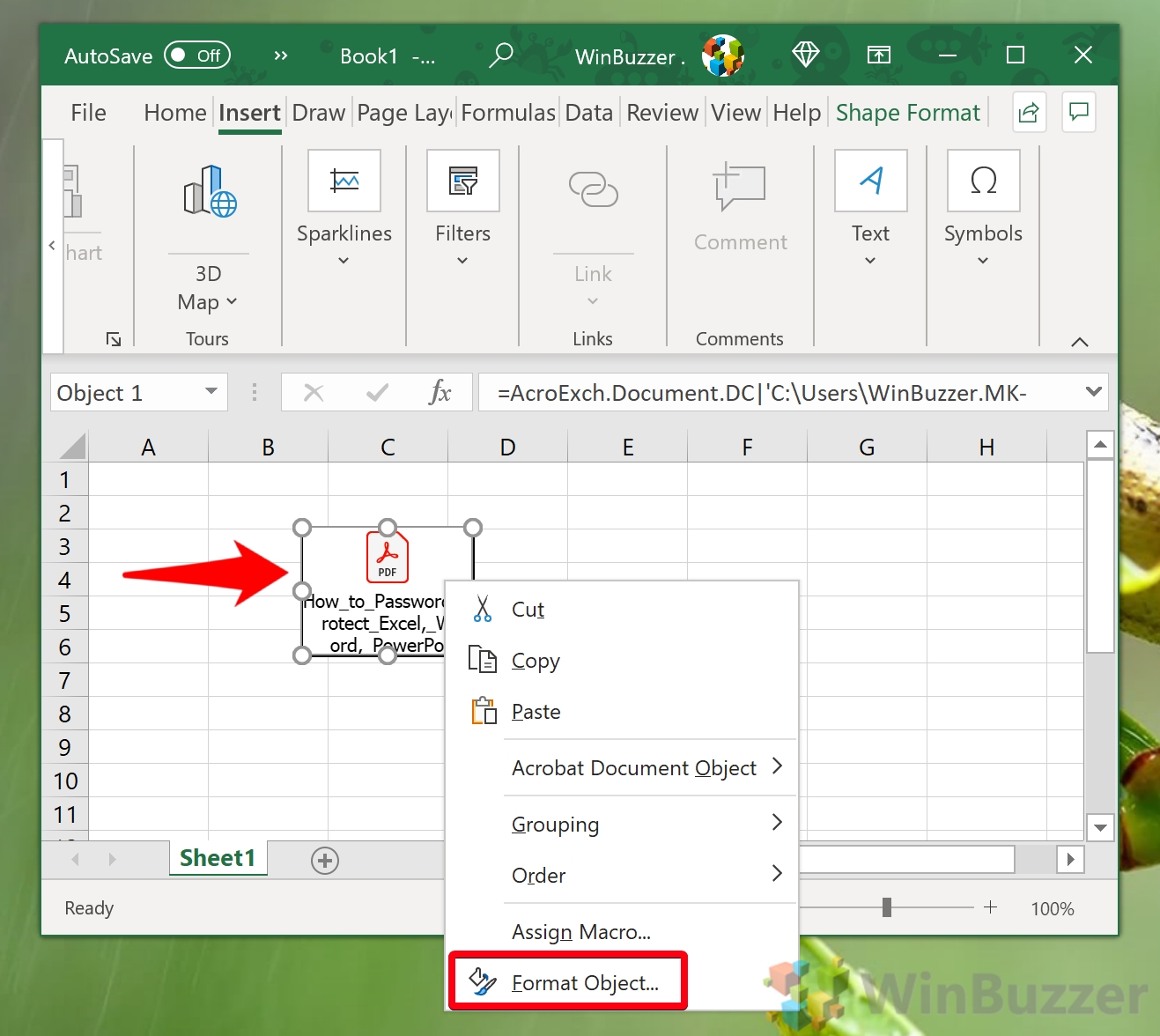 Windows 10 - Excel - Insert Pdf - Format Object