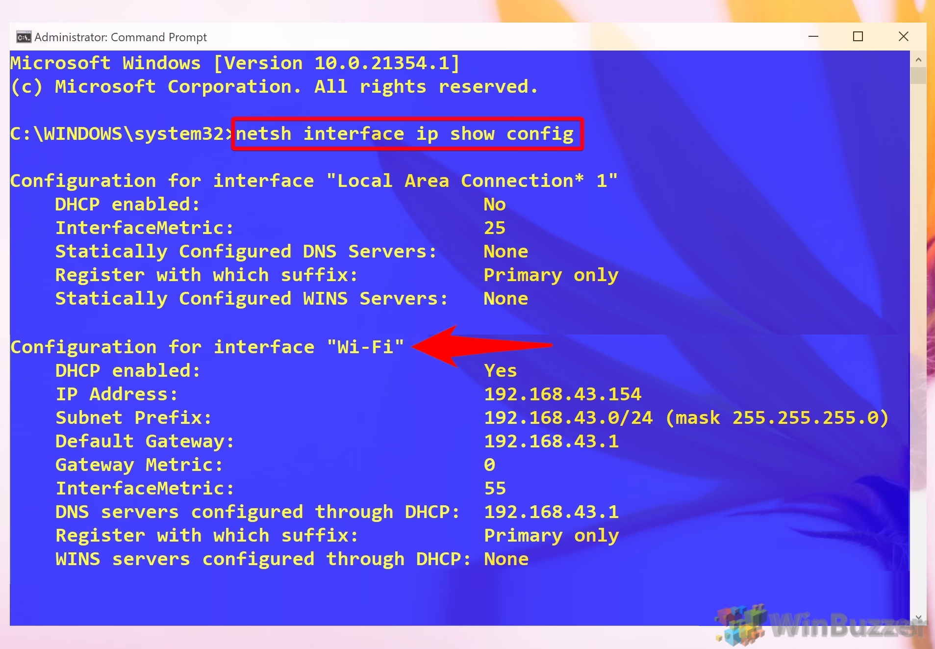 Windows 10 - Elevated Command Prompt - Enter the Command - Identify the Network Adapter