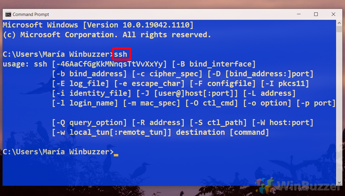 Windows 10 - Command Prompt - Enter ssh Command