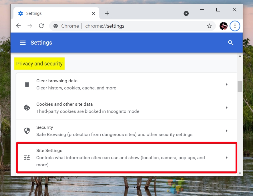 Windows 10 - Chrome - More - Settings - Privacy & Security - Site Settings