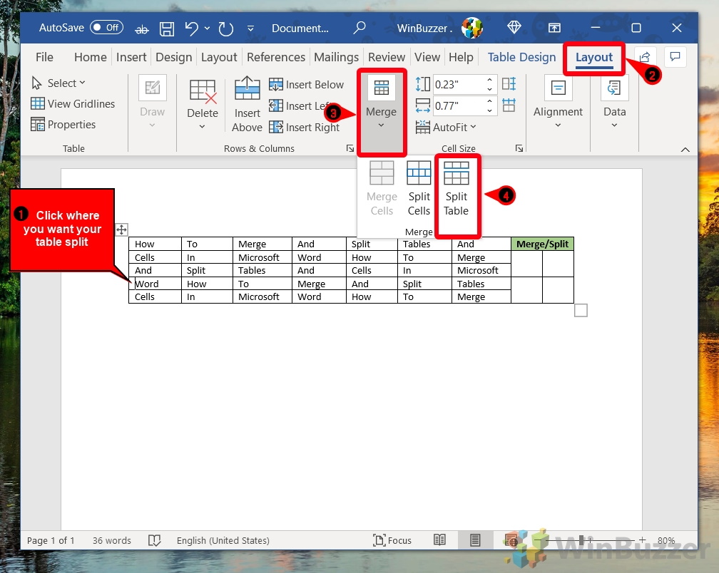 Windows 10 - Word - Click to Add Insertion Point - Layout - Merge - Split Table