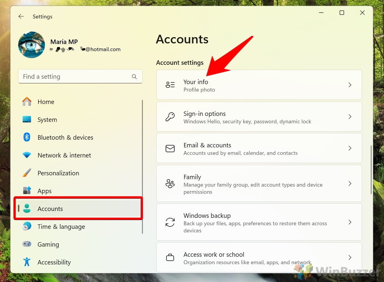 Windows 11 - Settings - Accounts - Your Info