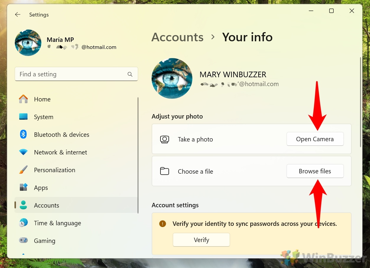 Windows 11 - Settings - Accounts - Your Info - Camera or Browse File