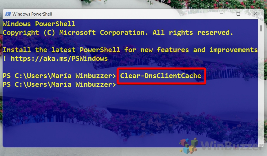 Windows 11 - Powershell - Enter Comd