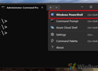 Windows Terminal Preview 1.24 Fixes Paste Hangs, IME Bugs