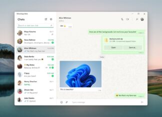WhatsApp Windows 11 app chat window
