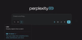 Perplexity Pro Labs