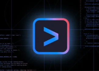 Google Gemini CLI